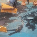 성남어린이공원 이미지