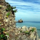 동해바다 이미지