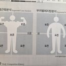 제이클라스 | 대전문화동헬스장/제이클라스pt/PT후기/여자트레이너/여성/40대