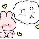 (주)아이펫 이미지
