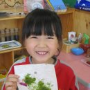 하나둘셋어린이집 이미지