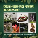 리버스토어
