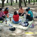 마리장풍숲 이미지