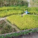 바다향기 이미지