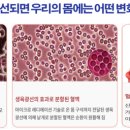 성경의료기 이미지