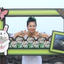 제주트롯장구 이미지