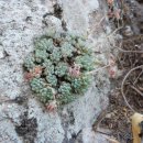 블루빈스 이미지