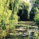 창의미술 이미지