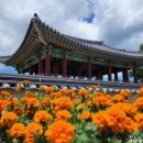 황토현농장 이미지