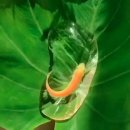 KS 행정사 사무소 이미지