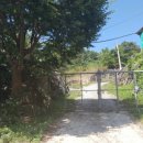 산골염소농장 이미지