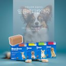 수인메디칼 네이버블로그