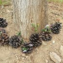 큰나래유치원 이미지