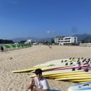 고고비치서프 이미지