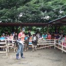 영통목장 이미지