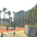 한동스테이 | 신라스테이이호테우 야외수영장과 카페 웨이브리스 방문 후기 및 팁