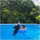 계곡의아침 | 양평계곡펜션 계곡+수영장+바베큐 다 되는 펜션 즐거운 가족여행 [계곡의아침]