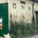 커피본 - 포항시 북구 중앙로294번길 5 | 커피본