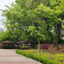 백마편의점 이미지