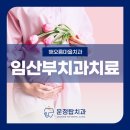 해오름마을치과 임산부 치과치료에 대해서
