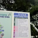 2026 무안 연꽃축제 시작전 방문후기, 해바라기와 수국 연꽃가득한 회산백련지