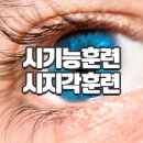 아이라인안경원