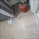 이진캐스빌블루1차 이미지