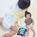 낮밤 | 팸퍼스 체험팩 신청 아기 팬티형 낮밤기저귀 후기