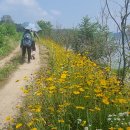 마을회관 이미지