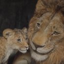 Mufasa The Lion King 이미지