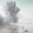 중국어 회화 이미지