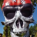 탑 태권스쿨 이미지