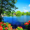 산마번역행정사사무소 이미지