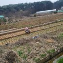 장고항1리 이미지