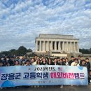 비전아이비