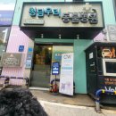 우리동물병원 | 24시동물병원 강아지슬개골탈구 전문 청담우리동물병원 강아지건강검진 후기