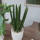 중산공인중개사사무소 이미지