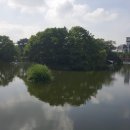 영산면사무소 이미지