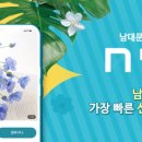 강남공판장