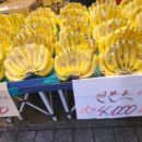 스테이경동