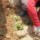 액비골(2) 이미지