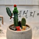 해빛2로 이미지