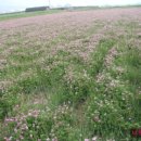 글사랑방 이미지