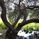 연리지농장 이미지