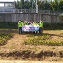 태장2동 행정복지센터 이미지