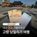 경상대학교 소비자생활협동조합 | 대구 근교 가볼만한곳 고령 온누리 팸투어 다녀왔는데