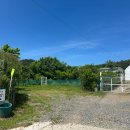 형제농장 이미지