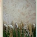 수정애견 이미지