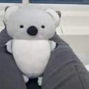 빈스치과의원 이미지