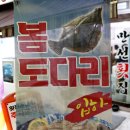 부산 수영역 맛집 만선횟집 제철 자연산 봄도다리로 힐링